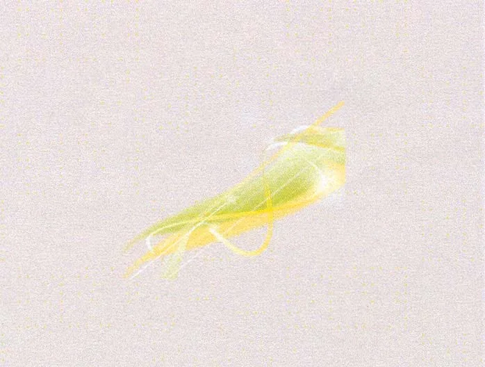 Acta 898019