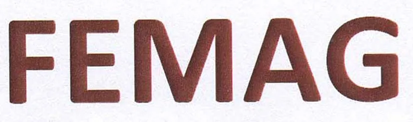 FEMAG