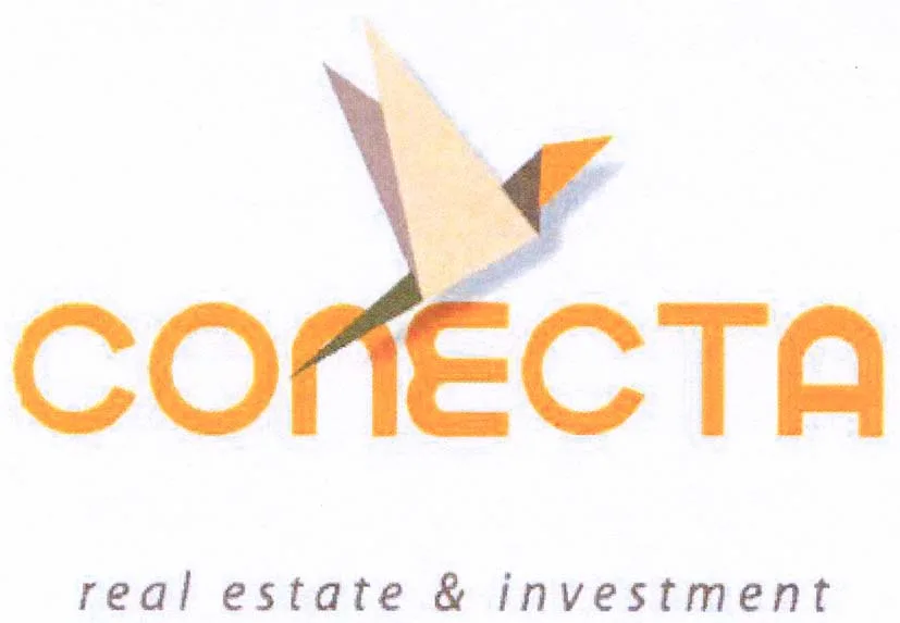 CONECTA REAL ESTATE & INVESTMENT