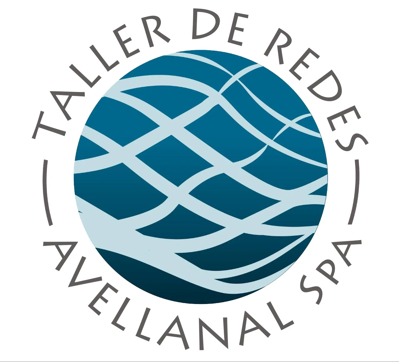 TALLER DE REDES AVELLANAL SPA