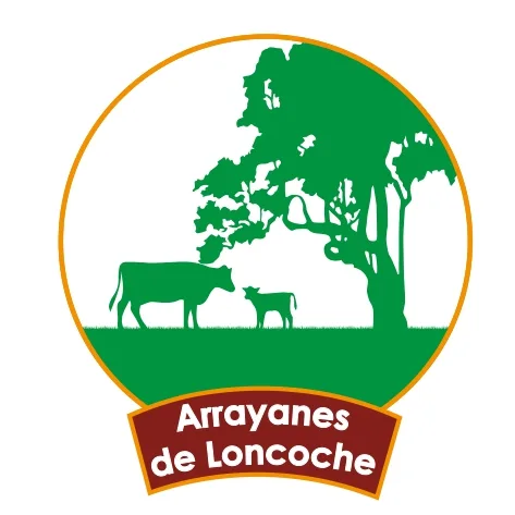 ARRAYANES DE LONCOCHE