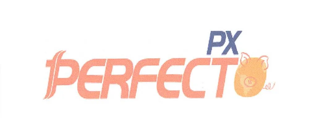 PX PERFECTO
