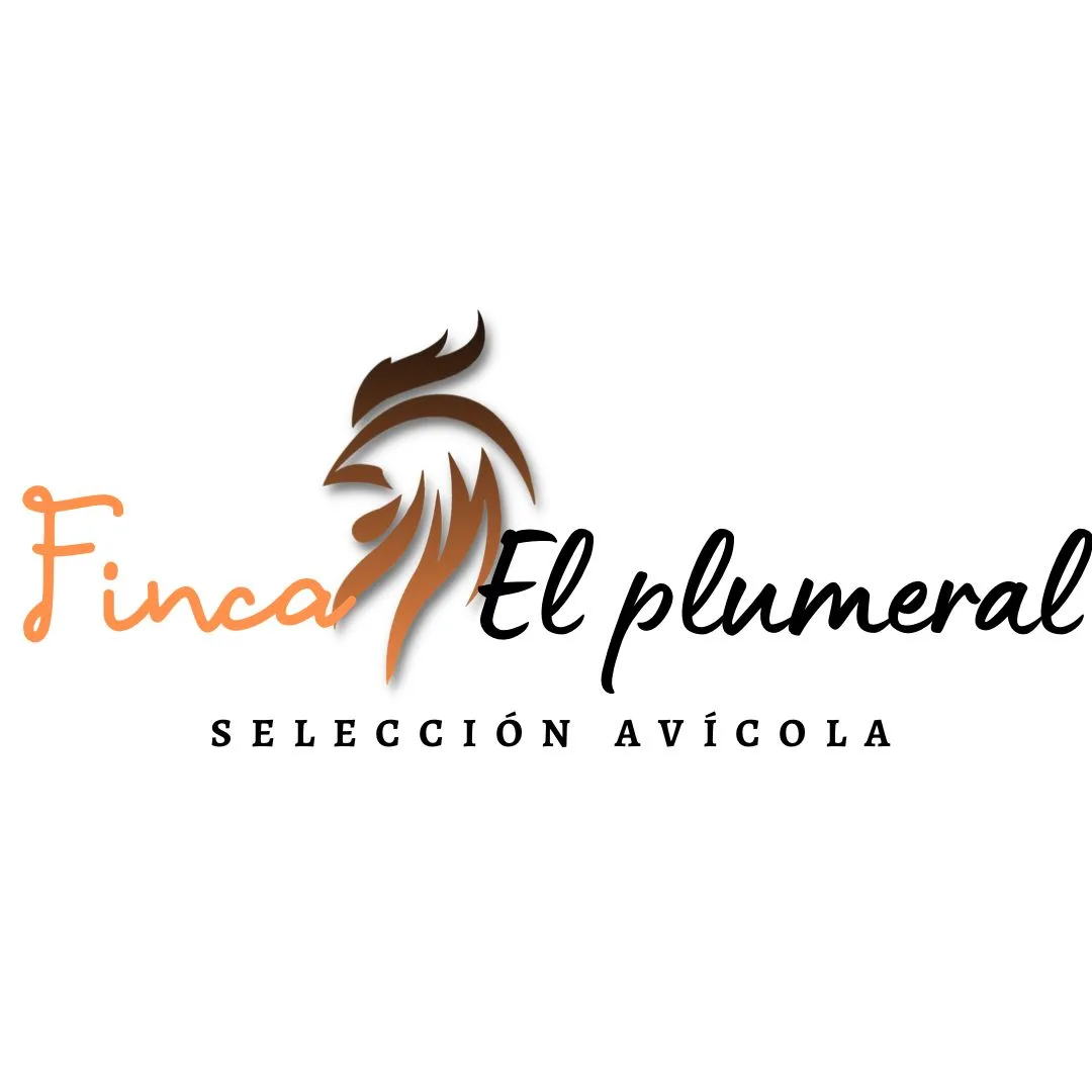 Fincaelplumeral Selección Avícola