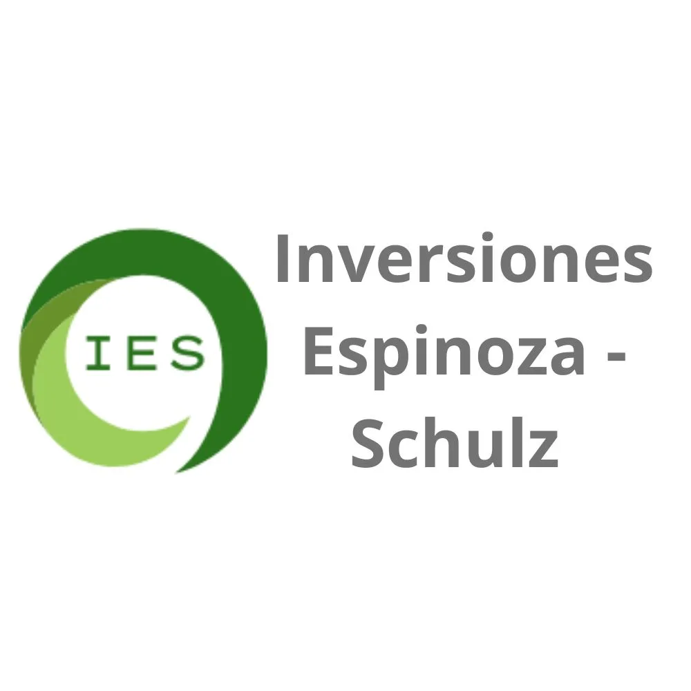 IES Inversiones Espinoza Schulz