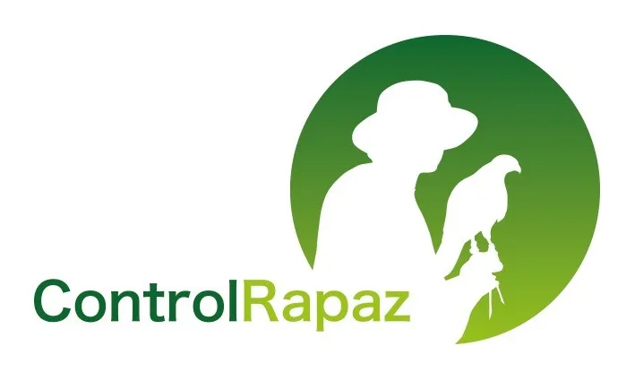 CONTROL RAPAZ