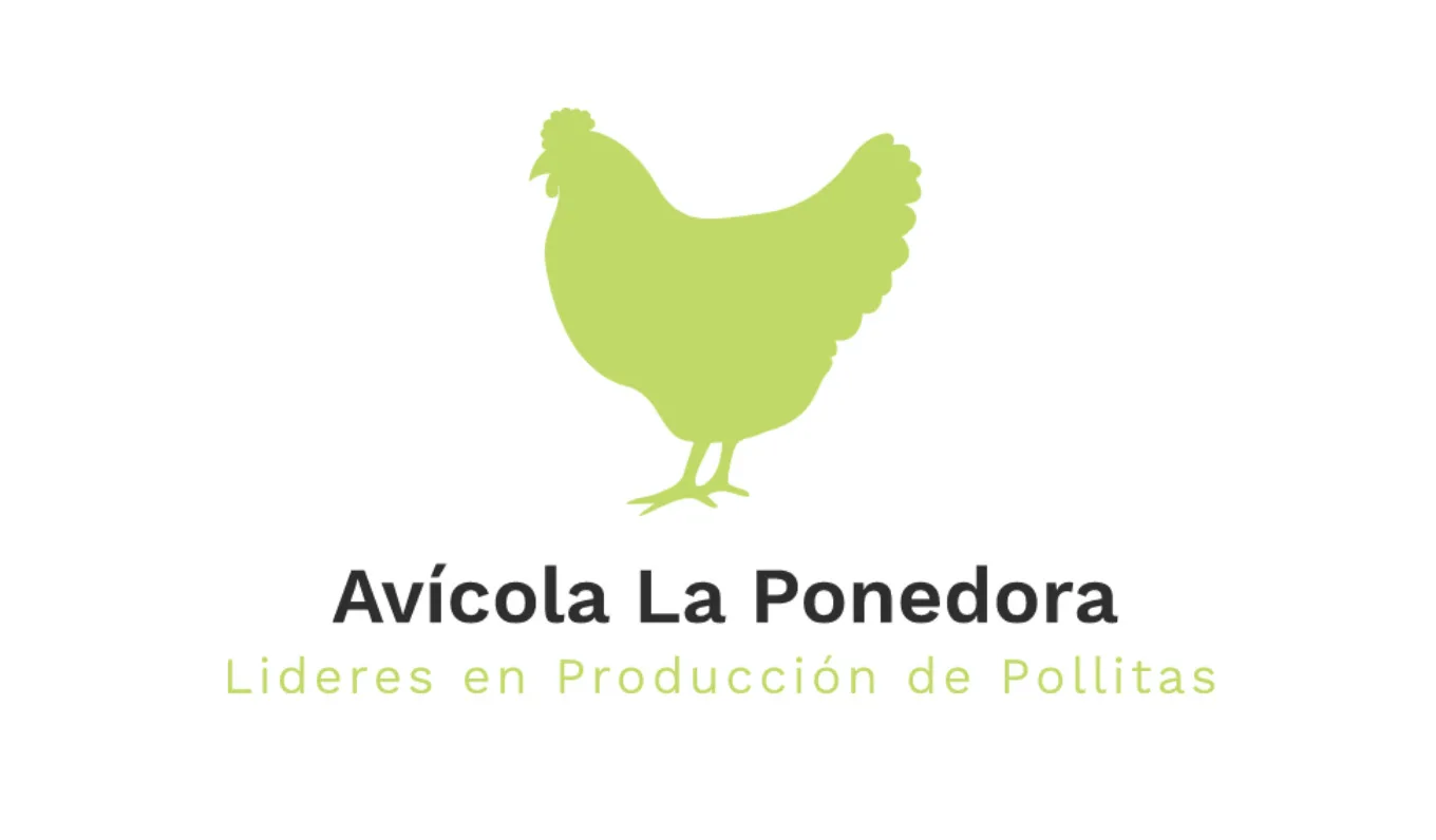 Avícola La Ponedora Lideres en Producción de Pollitas