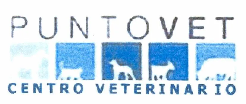 PUNTOVET CENTRO VETERINARIO