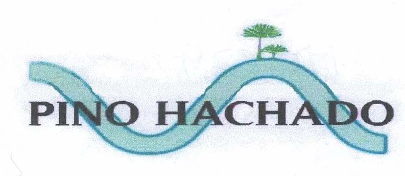 PINO HACHADO