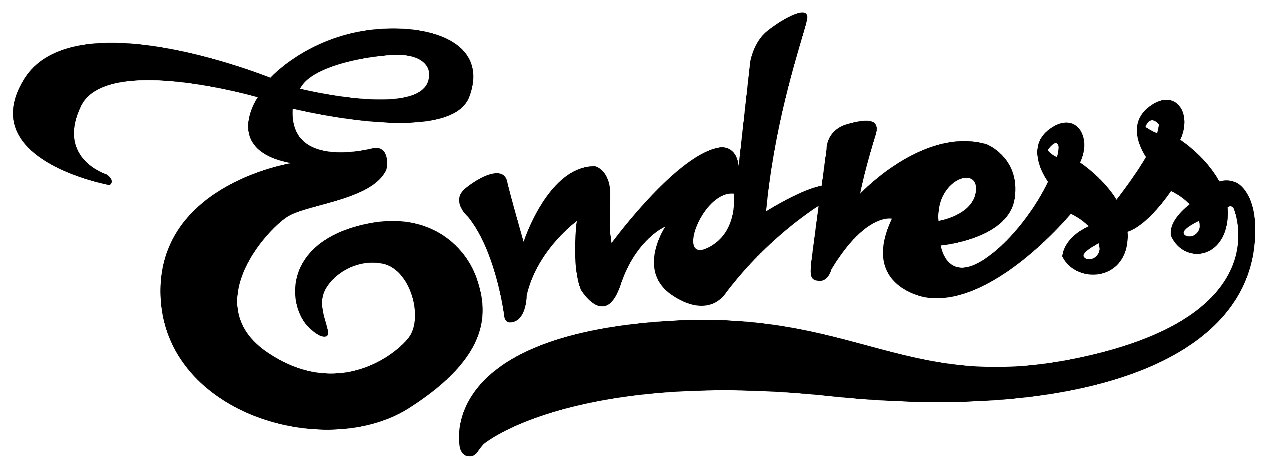 ENDRESS