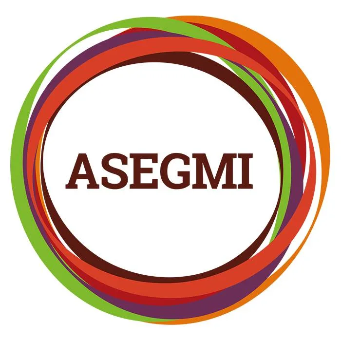 ASEGMI