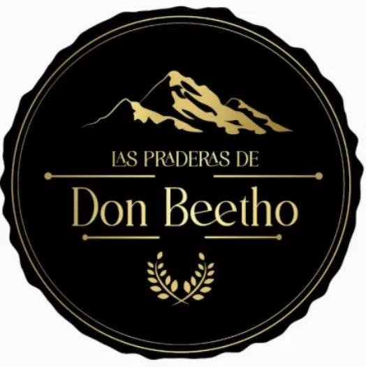 LAS PRADERAS DE DON BEETHO
