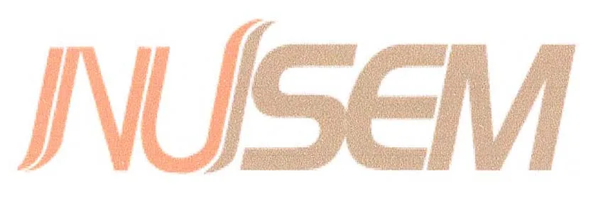 NUSEM