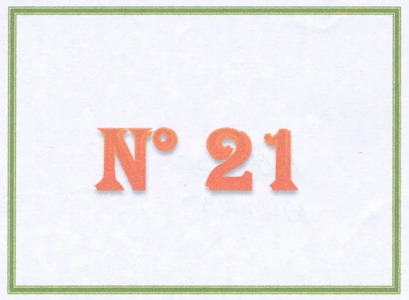 N°21
