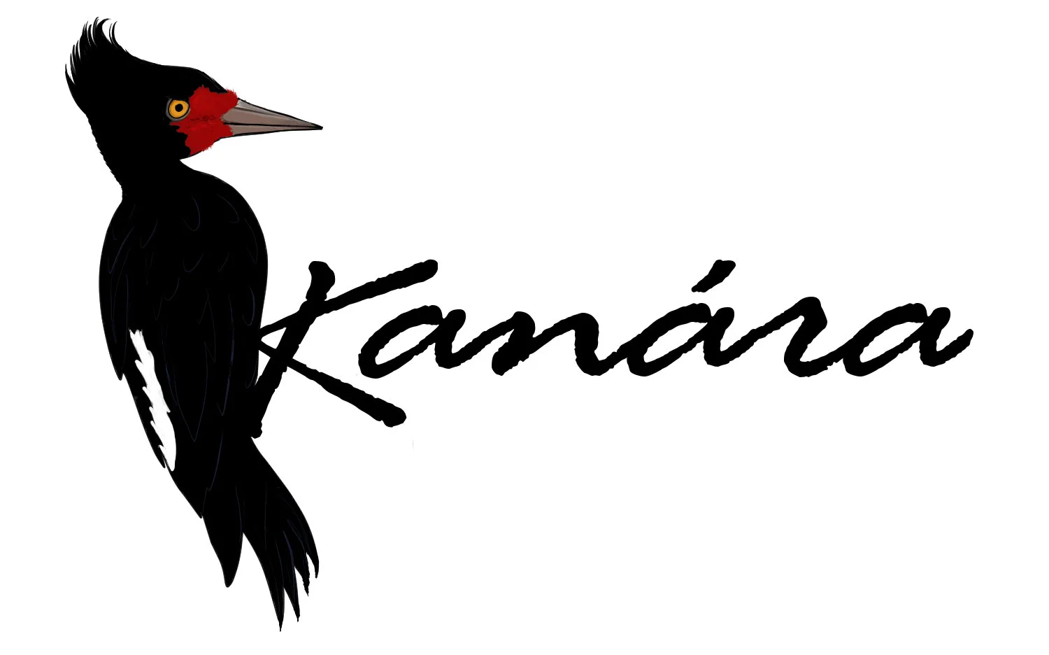Kanára