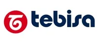 t tebisa