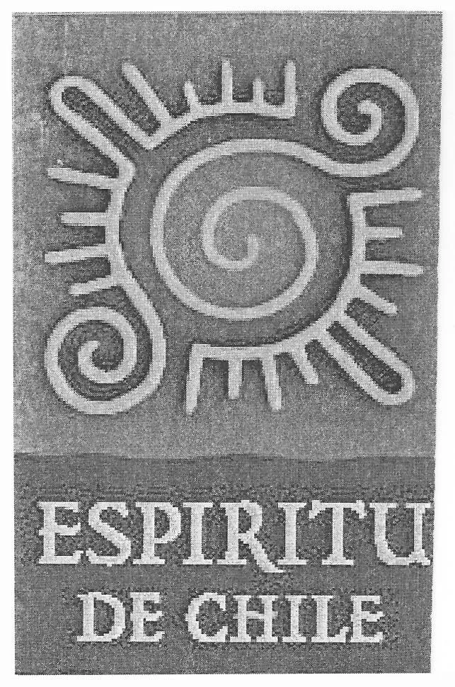 ESPIRITU DE CHILE