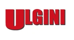 ULGINI