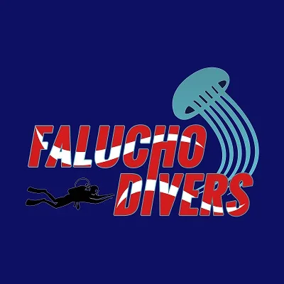 FALUCHO DIVERS