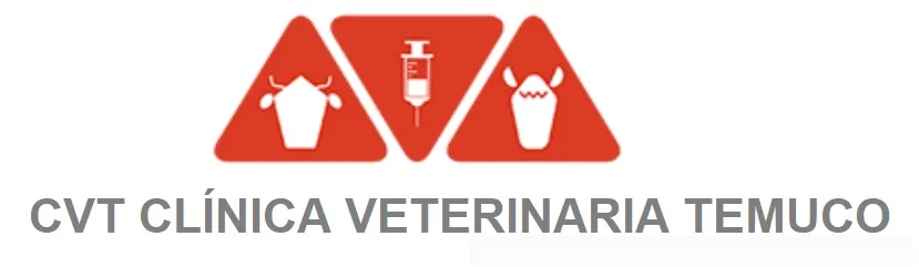 CVT CLINICA VETERINARIA TEMUCO