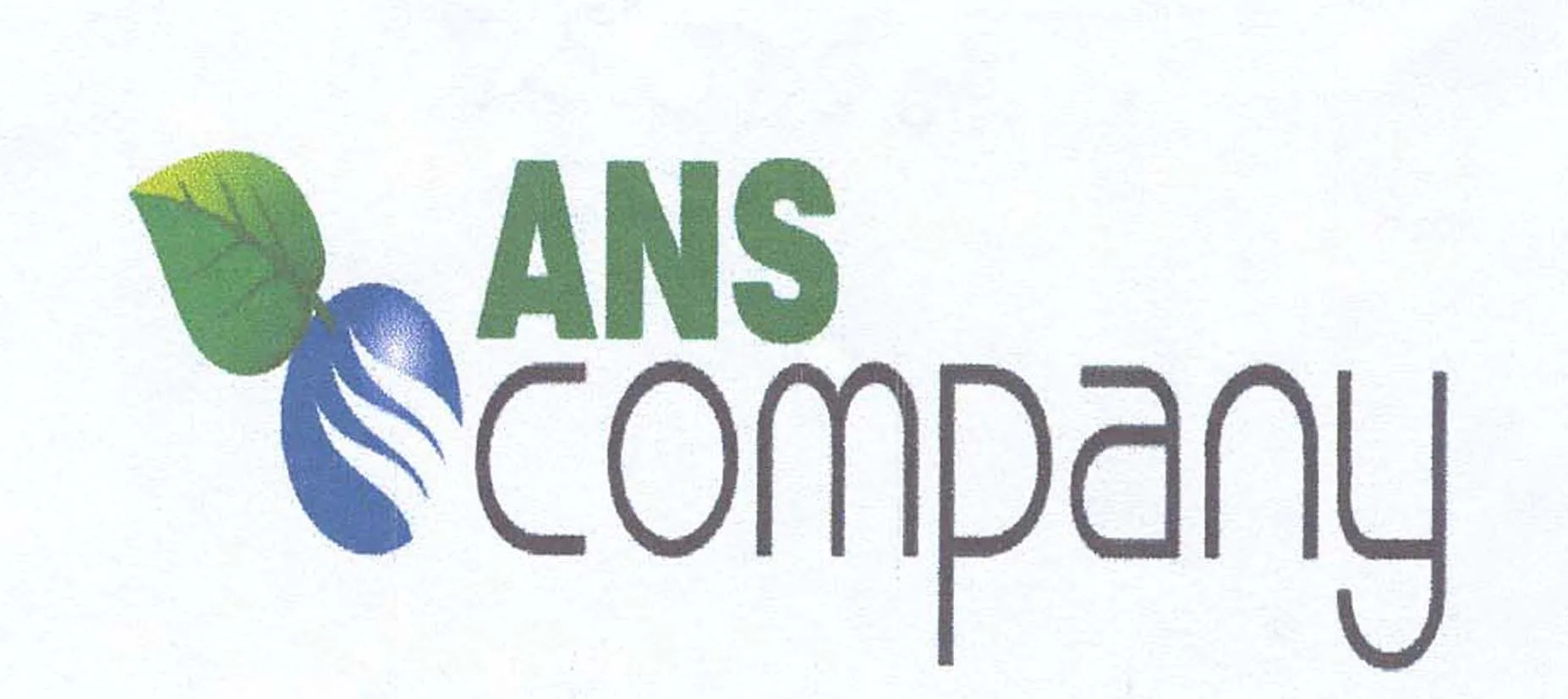 ANS COMPANY