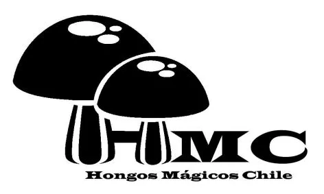 HMC Hongos Mágicos Chile