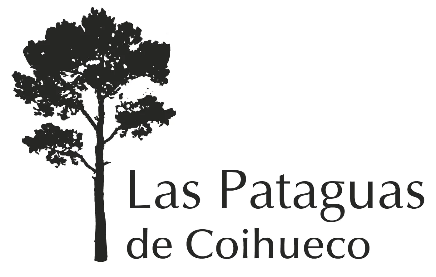 Las Pataguas de Coihueco