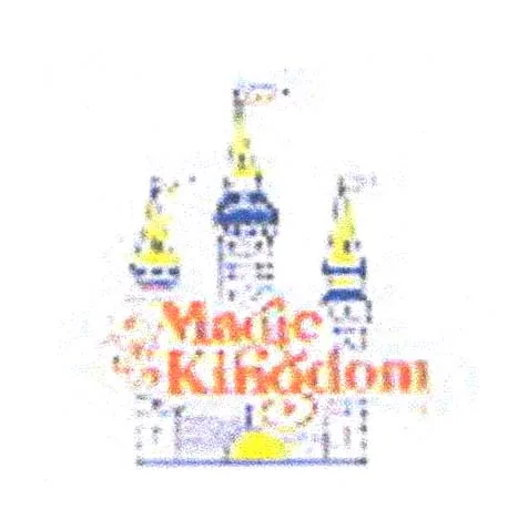 MAGIC KINGDOM