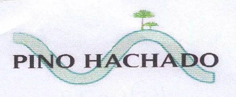 PINO HACHADO
