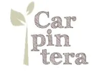 Car pin tera