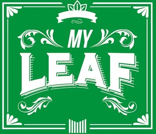 MY LEAF