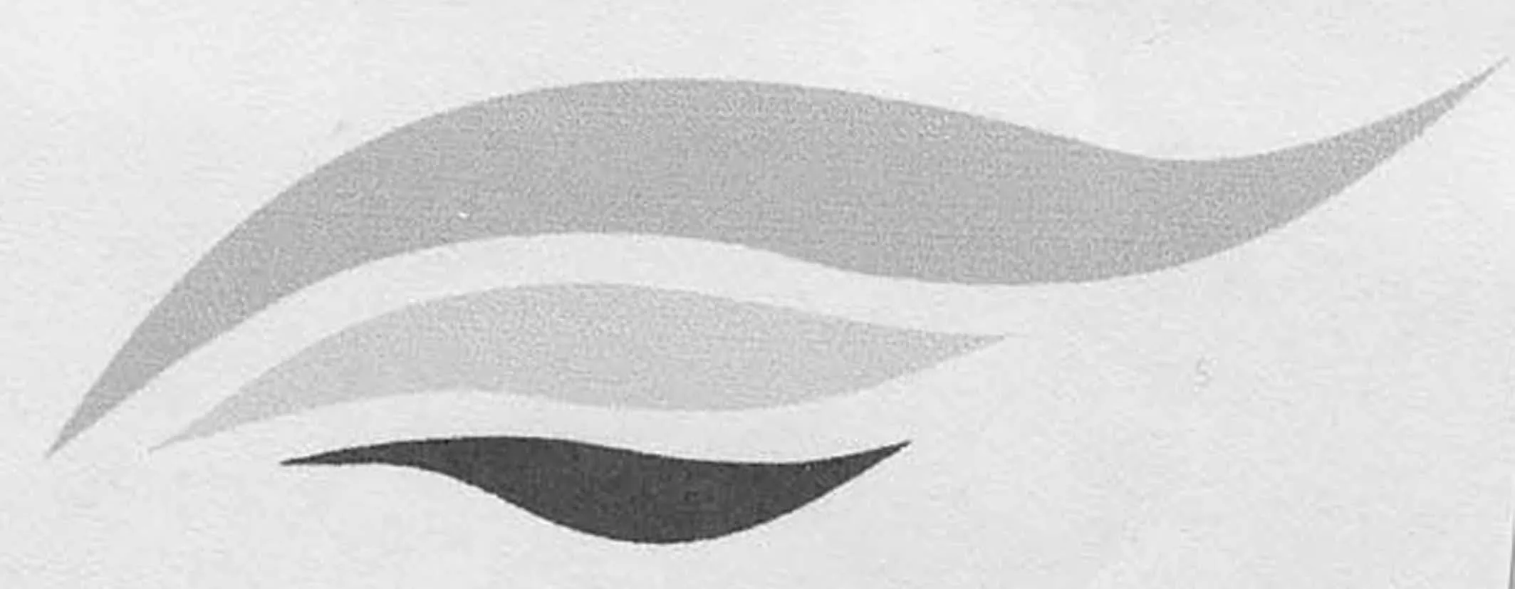 Acta 1020041