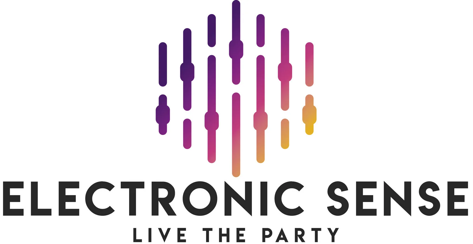 Electronic Sense Live The Party
