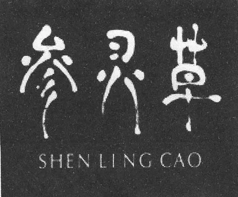 SHEN LING CAO