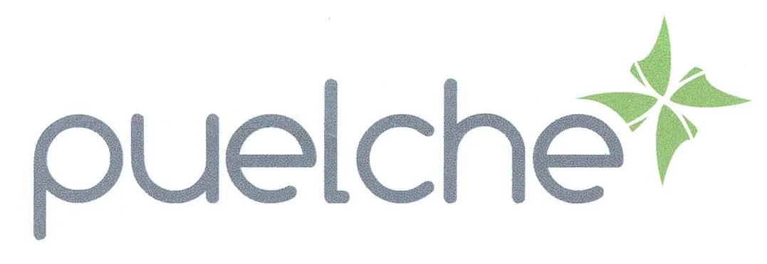 PUELCHE