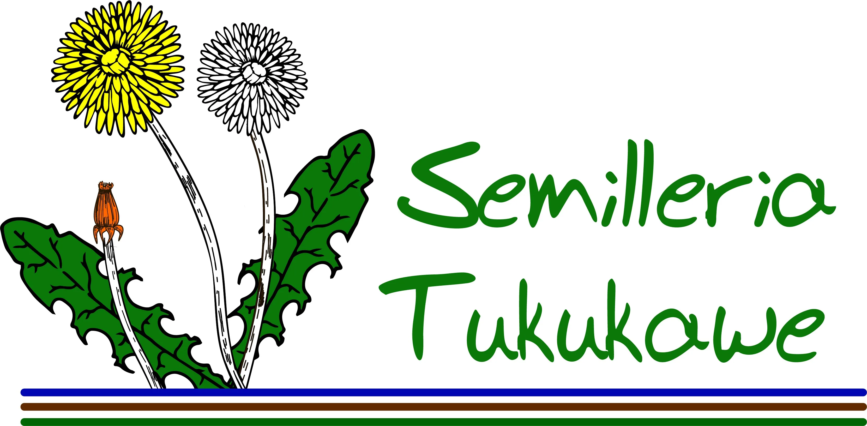 SEMILLERIA TUKUKAWE
