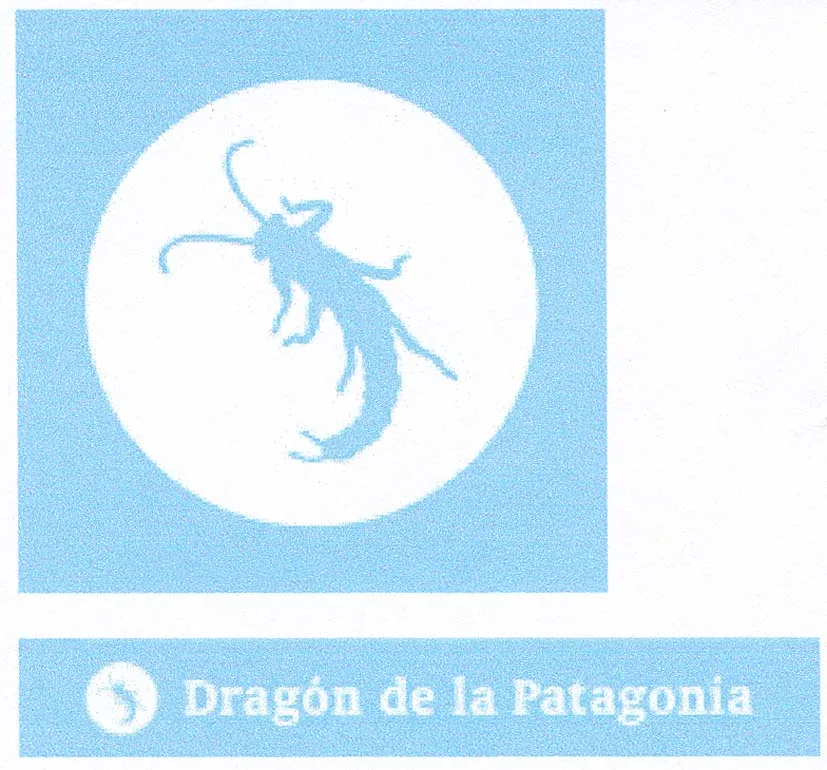 DRAGÓN DE LA PATAGONIA
