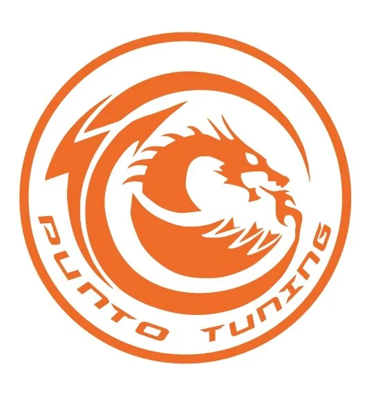 PUNTO TUNING