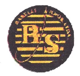 BASELLI HNOS. LTDA. B.S.