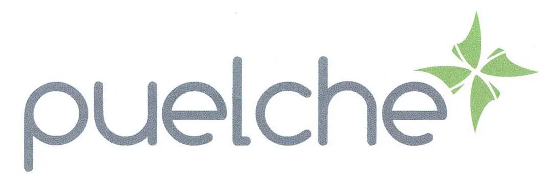 PUELCHE