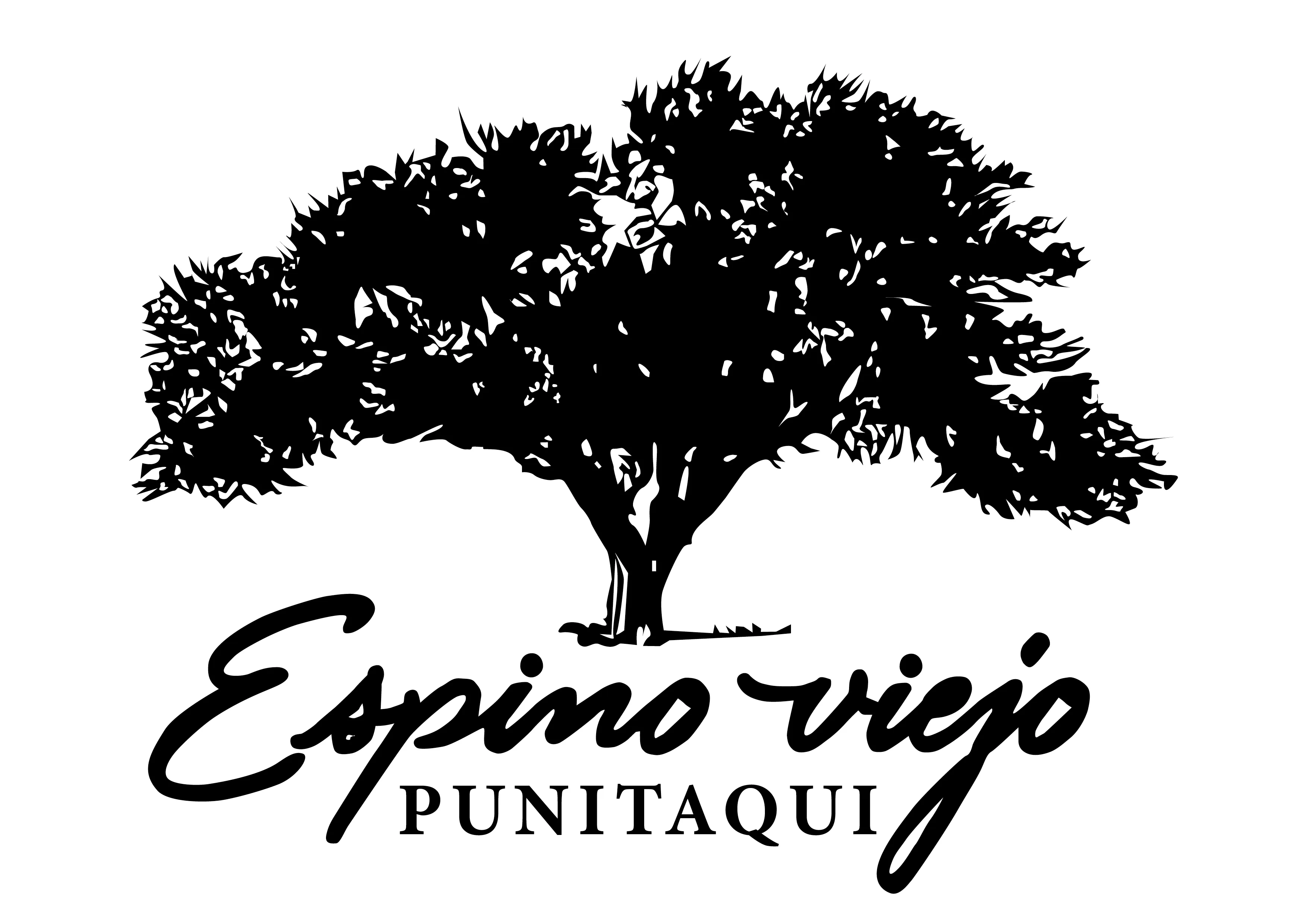 ESPINO VIEJO PUNITAQUI