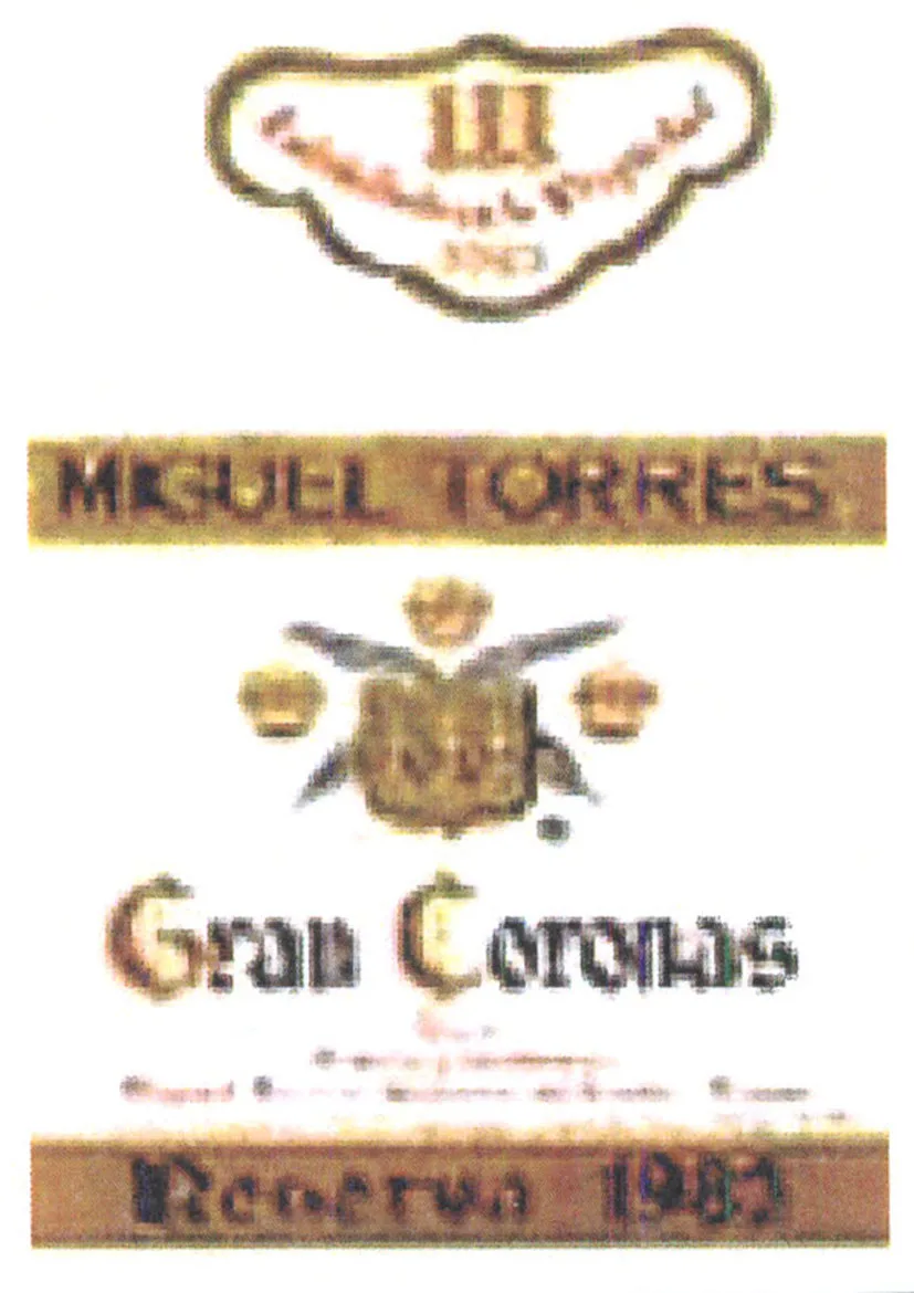 MIGUEL TORRES