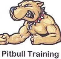 PITBULL TRAINING