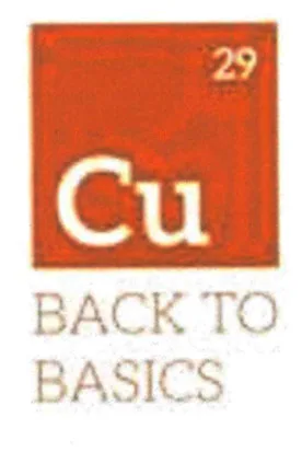 CU 29 BACK TO BASICS