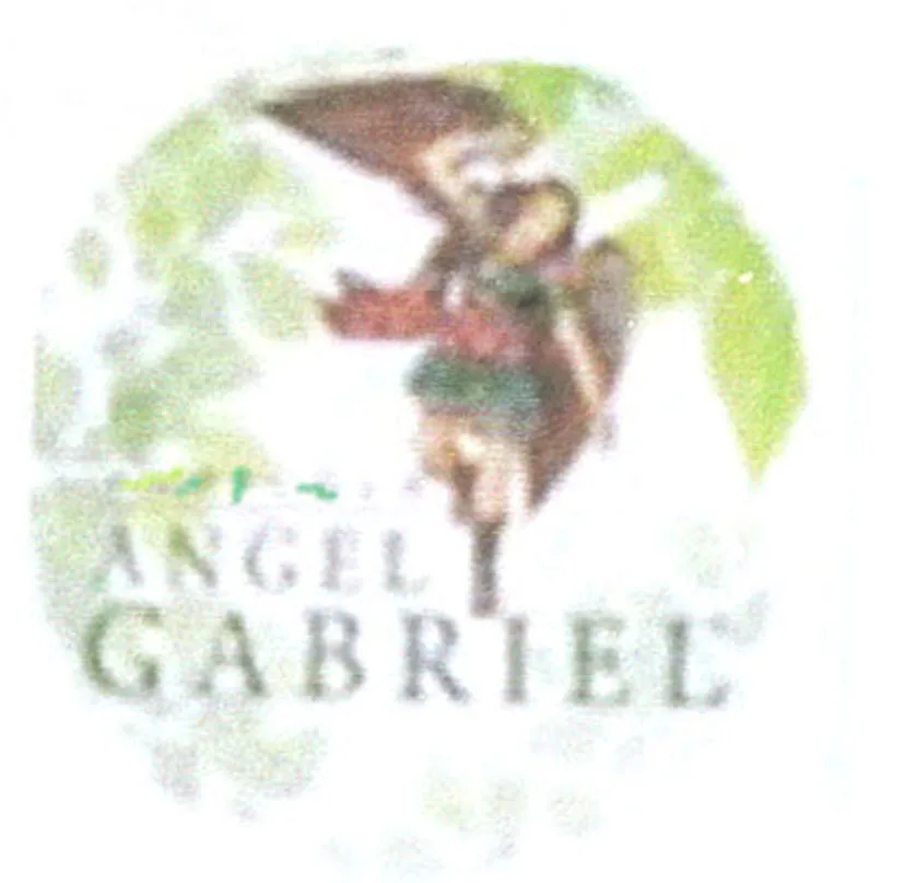 ANGEL GABRIEL