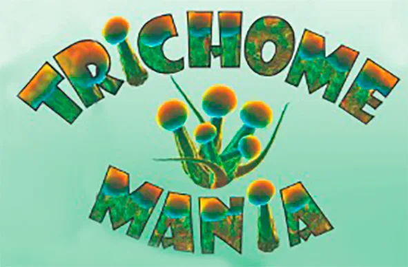 TRICHOME MANIA