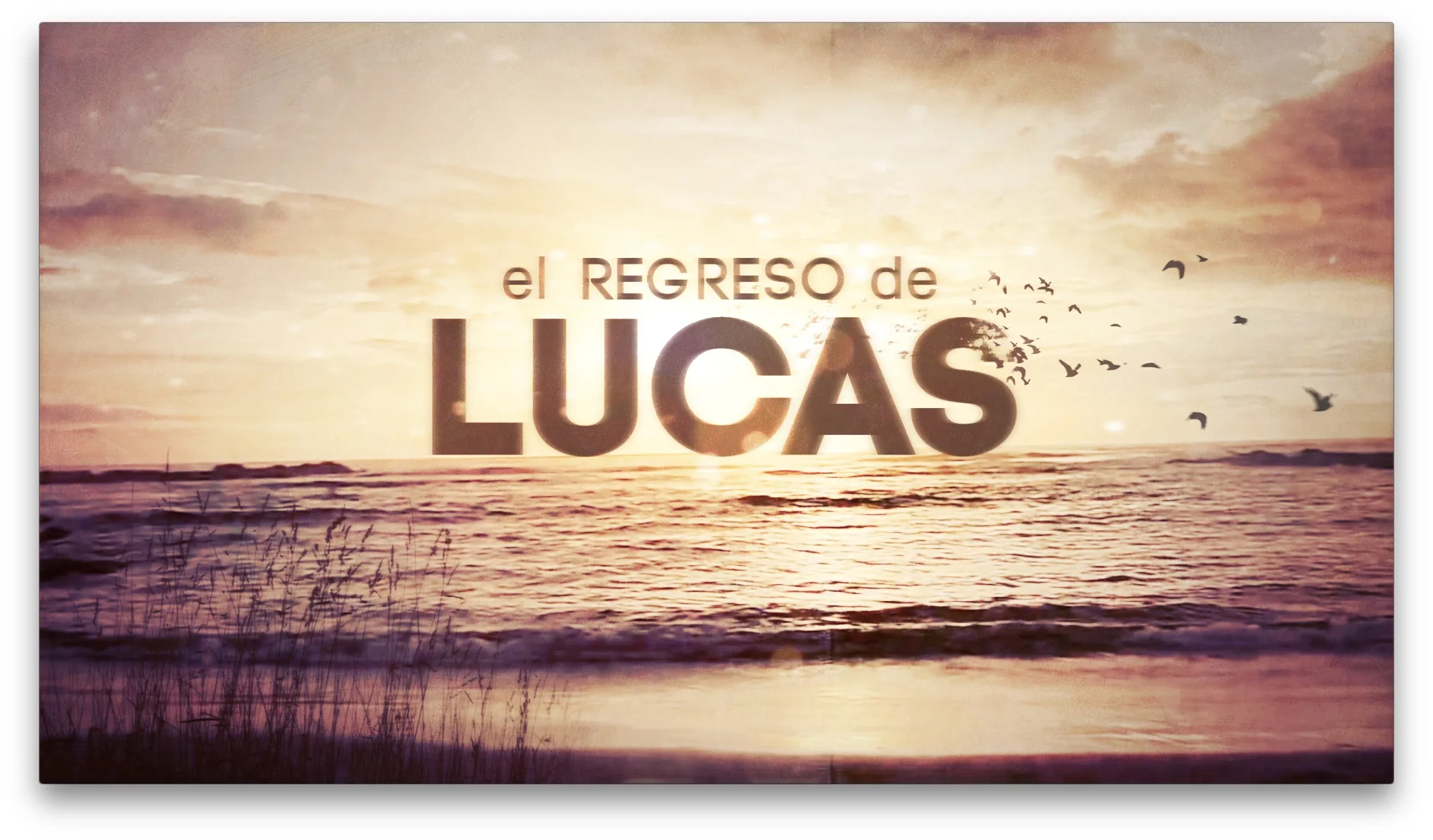 EL REGRESO DE LUCAS