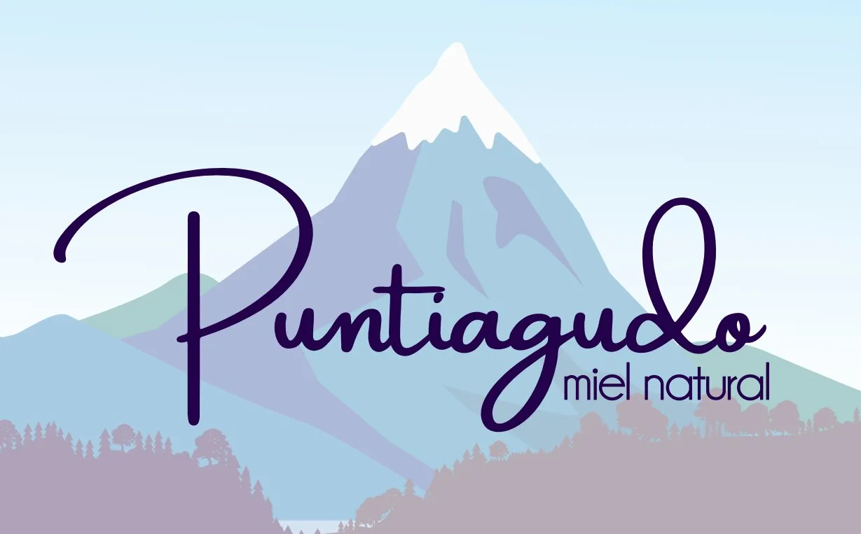 PUNTIAGUDO