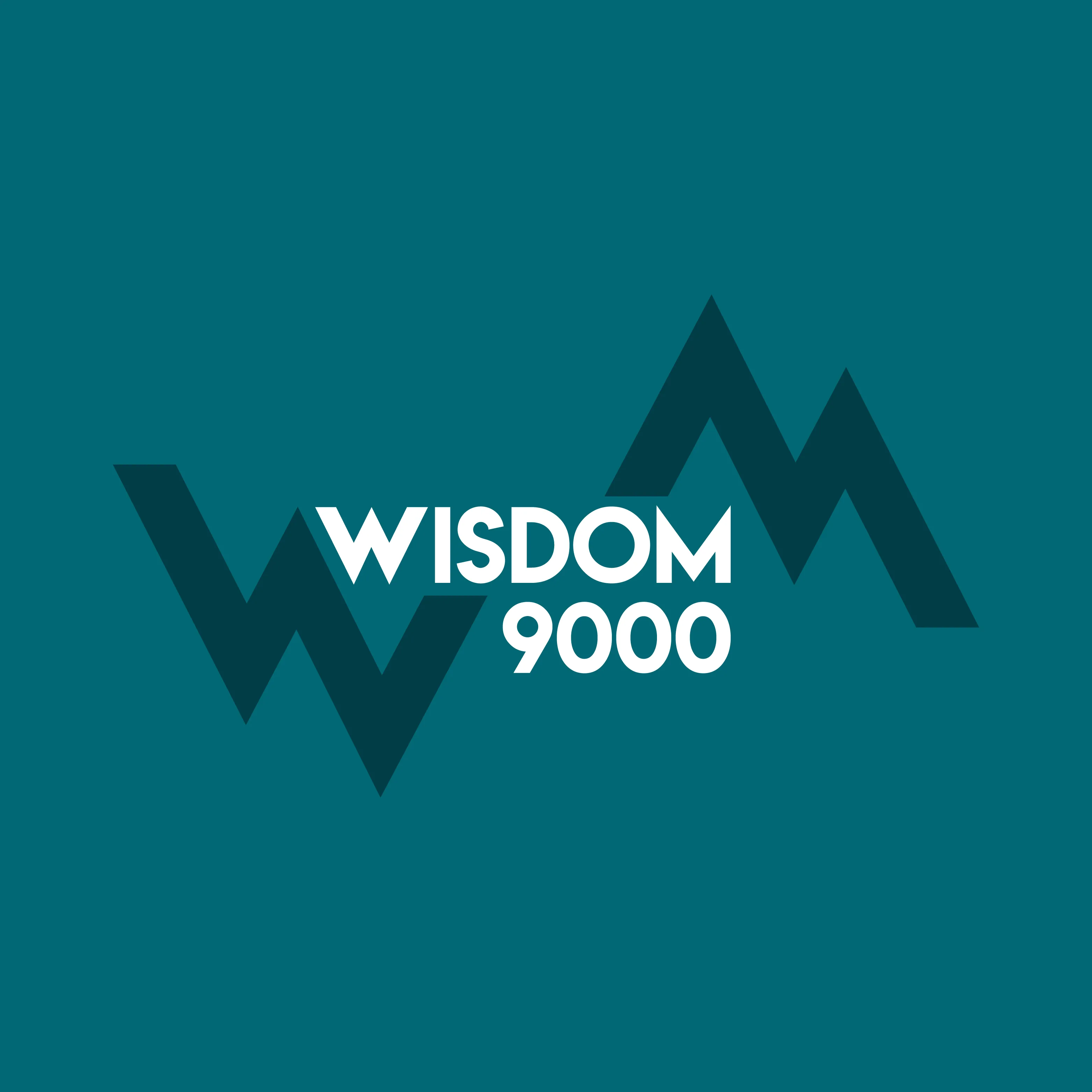 WM WISDOM 9000