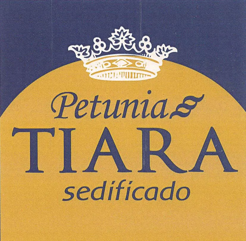 PETUNIA TIARA SEDIFICADO