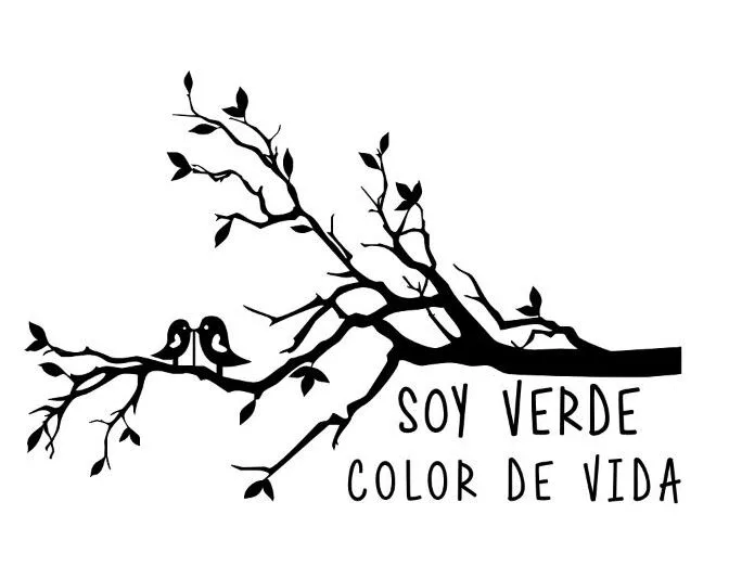 SOY VERDE COLOR DE VIDA